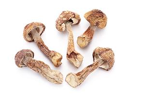 立川での接待ならトレモンテがお勧め