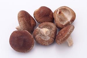 おいしいマンゴーを購入してみよう