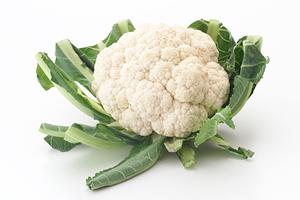 おいしい宅配弁当で午後からも全力投球