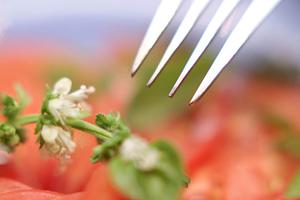 和菓子の手土産を手に入れるためには