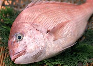 新潟名物のへぎそばをぜひご賞味ください