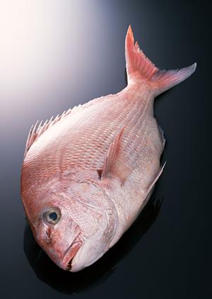 六甲道で友達と焼き鳥を食べたい