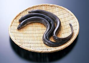 あんこう鍋の魅力と伝統を堪能できる、美味しい冬季限定料理を楽しむ方法