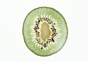 盛岡冷麺と韓国料理の名店「ぴょんぴょん舎」銀座店：伝統の味と新しい食文化を楽しむ