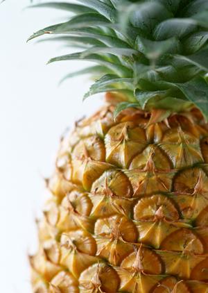 2026年最新！仙台で見つけるべき絶品カフェ10選と選び方ガイド