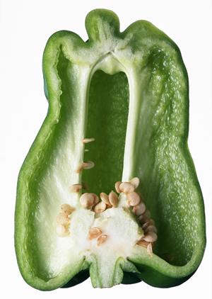 希少なお酒も取り扱っている信濃屋