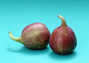 大阪のお好み焼き専門店「ぼてぢゅう」グループの魅力と店舗情報