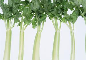 品質の高い調味料開発をしてくれる会社